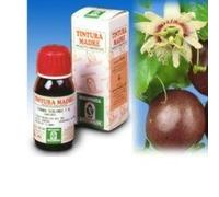 PASSIFLORA INCARNATA 34 50MLTM