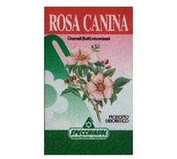 ROSA CANINA ERBE 75CPS