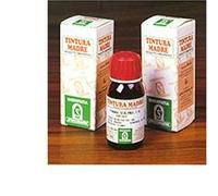 Specchiasol Soluzione Idroalcolica 20 Pilosella 50 ml