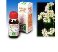 SPECCHIASOL soluzione idroalcolica valeriana 36 tintura madre ad azione calmante gocce 50 ml