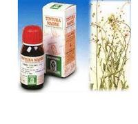 Specchiasol Soluzione Idroalcolica 4 Borsa del Pastore 50 ml