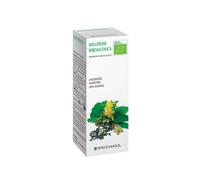 Specchiasol Soluzione Idroalcolica - Gramigna 37 Integratore Alimentare, 50ml