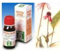 specchiasol Sp.echinacea angus. tm 50ml