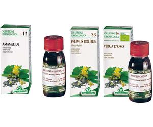 specchiasol Sp.gingko biloba tm 50ml