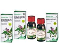 specchiasol Sp.lampone 40 gemmosol 50ml
