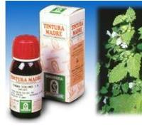 Melissa Soluzione Idroalcolica 17 Specchiasol 50 ml