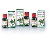 specchiasol Sp.tilia 46 tiglio gemme 50ml