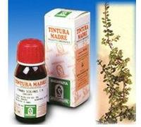 Specchiasol Uva Ursina 30 Tintura Madre 50 ml