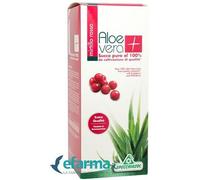 Specchiasol Aloe Vera+ Antiox con Mirtillo Rosso – 1000 ml