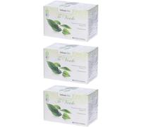 Specchiasol TÈ Verde 3x20 pz Bustine filtro