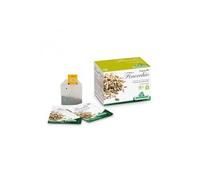 Specchiasol 33395 Infuso Finocchio, 20 Bustine