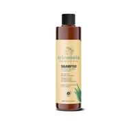 Specchiasol Tricomnia Shampoo Capelli Secchi e Trattati 250 ml con Aloe Vera, Collagene e Olio Mandorle | Rinforza, Illumina e Idrata | Capelli Morbidi Facili da Districare | Protettore Agenti Esterni