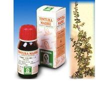 Specchiasol Tintura Madre Uva Ursina – 50 ml