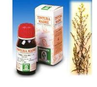Verga Oro 26 50 ml Tintura Madre