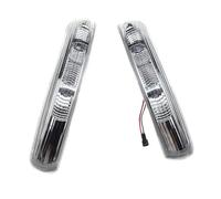 Specchietti Laterali Fanalin Freccia Per C&hevrolet Per Captiva 2007-2016 Luce Di Segnalazione A LED Per Specchietto Retrovisore Laterale Anteriore Sinistro Destro Fanale Fanalino Freccia(PAIR)