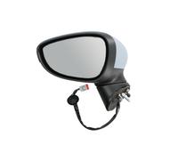 Specchietto esterno Sx Specchio completo 5402-04-1113392P BLIC per FORD