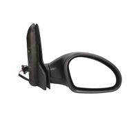 Specchietti retrovisori esterni BLIC 5402-04-1138951P destro