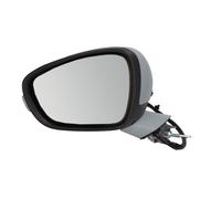 Specchietti retrovisori esterni BLIC 5402-08-2002091P