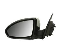 Specchietti retrovisori esterni BLIC 5402-56-009361P, sinistro