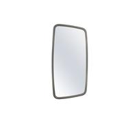 Specchietti retrovisori esterni PACOL MAN-MR-048L sinistro