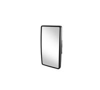 HELLA 8SB 501 191-202 Specchio esterno, Cabina
