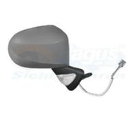 Specchietto esterno Dx Specchio completo 4367808 VAN WEZEL per RENAULT