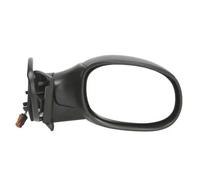 Specchietto esterno Dx Specchio completo 5402-04-1128850 BLIC per CITROËN C3 I