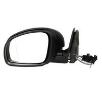 Specchietto esterno Sx Regolazione:comando cavo flessibile 5402-04-1125559P BLIC