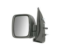 BLIC 5402-09-2476316P Specchietto retrovisore esterno