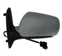 Specchietto esterno Sx Specchio completo 5402-04-1139899 BLIC per VW SEAT