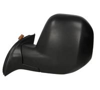 Specchietto esterno Sx Specchio completo 5402-04-9225998 BLIC per CITROËN