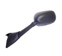 RÃ ¼ ckspiegel Links