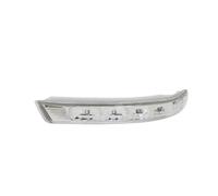 Specchietto Laterale Specchietto Retrovisore Indicatore Direzione Blicker Ripetitore Luce Per Hyundai Per Santa Fe Per Fantafe Per Veracruz IX55 RESPUNEKBAH(Sinistra)