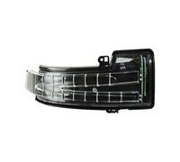 Specchietto Retrovisore Auto Luce Direzione A LED Per Mercedes Per Benz GL MR Classe G W463 X164 X166 W166 W251 V251 1668200121 1668200221 Lampada Indicatore(Giusto)
