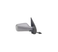 Prasco FT1137133 - Specchio Esterno