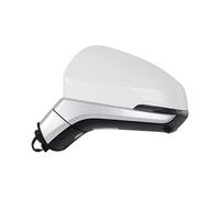 Specchietto Retrovisore Esterno Per JAC Jiayue X4 JS4 T60 Sehol X4 E40X Specchietto Retrovisore Laterale Telecamera Automatica Specchio(With Camera Left)