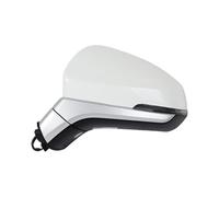 Specchietto Retrovisore Esterno Per JAC Jiayue X4 JS4 T60 Sehol X4 E40X Specchietto Retrovisore Laterale Telecamera Automatica Specchio(NO Camera Left)