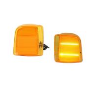 Specchietto Retrovisore Indicatore Per Per Astro 1995 1996 1997-2005 2 Pezzi LED Auto Indicatori Direzione Laterali Anteriori Ad Angolo DRL