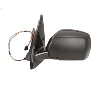Specchietto retrovisore laterale BLIC 5402-05-014333P per X5 (E53) 3 2000-2006