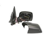Specchietto retrovisore laterale BLIC 5402-05-014335P per X5 (E53) 3 2000-2006