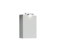 Specchio contenitore 1 anta grigio silver 50x15x68 cm Grigio