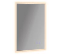 Specchio da Bagno 70x50 cm con Cornice a LED Argento