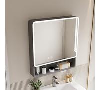 Specchio da Bagno con Contenitore, armadietto portamedicinali Illuminato, portaoggetti a Parete per Specchio. per Installazione su mobiletto da Bagno. Moderno mobiletto portaoggetti antiappannamento.