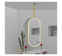 Specchio da bagno, specchio parete ovale dorato con asta appendiabiti, luminoso for il trucco cornice in ferro for camera letto, e soggiorno, 50x100 cm - Elegante arredamento for la casa(Gold,50x80cm)