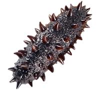 specchio da per casa delle in , miniatura