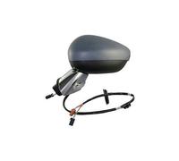 Specchio Destro per C3 2010-2016 freccia Cromato Base Cromata 7 pin 8152J7