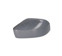 Specchio esterno - fascia BLIC 6103-01-0104291P