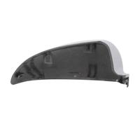 Specchio esterno - fascia BLIC 6103-02-2002387P