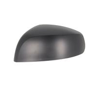 Specchio esterno - fascia BLIC 6103-04-2001973P