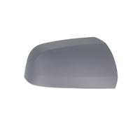 Specchio esterno - fascia BLIC 6103-04-2002048P